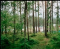 Sommarland