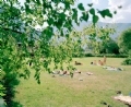 Årdal